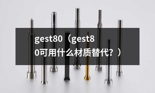 gest80（gest80可用什么材質替代？）