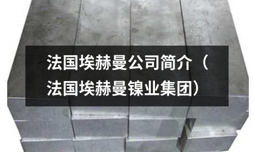 法國埃赫曼公司簡介(法國埃赫曼鎳業(yè)集團)