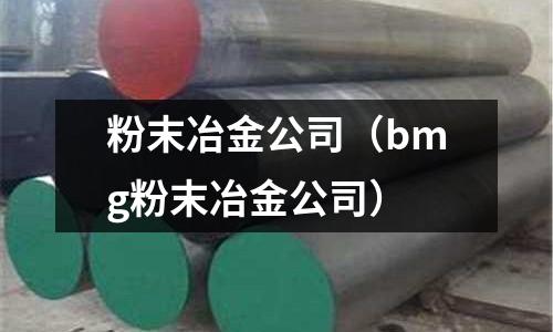 粉末冶金公司（bmg粉末冶金公司）