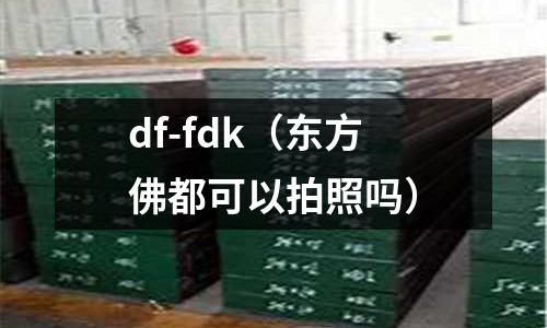 df-fdk（東方佛都可以拍照嗎）