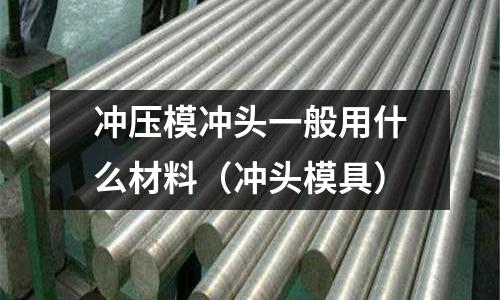 沖壓模沖頭一般用什么材料（沖頭模具）