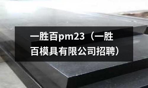 一勝百pm23(一勝百模具有限公司招聘)