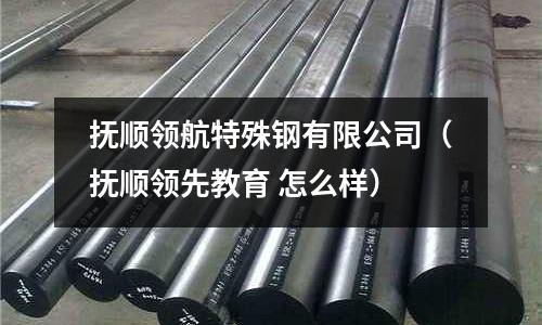 撫順領航特殊鋼有限公司（撫順領先教育 怎么樣）