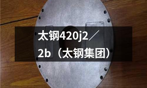 太鋼420j2／2b（太鋼集團）