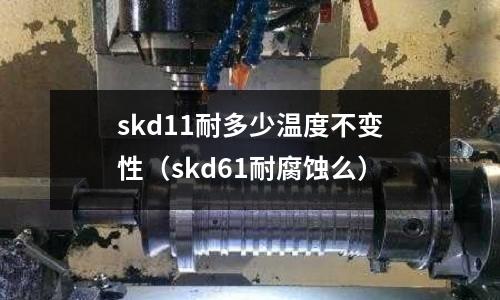 skd11耐多少溫度不變性(skd61耐腐蝕么)
