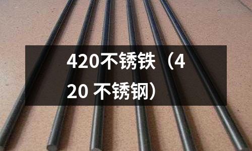 420不銹鐵（420 不銹鋼）
