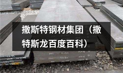 撒斯特鋼材集團(tuán)（撒特斯龍百度百科）