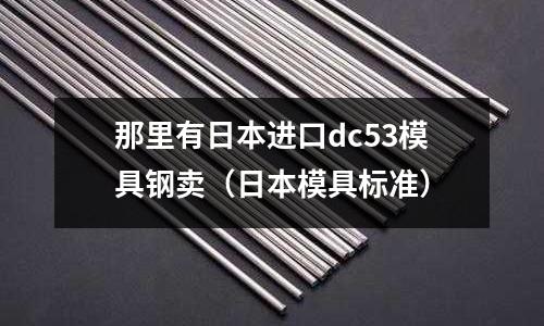 那里有日本進口dc53模具鋼賣(日本模具標準)