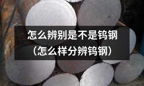 怎么辨別是不是鎢鋼(怎么樣分辨鎢鋼)