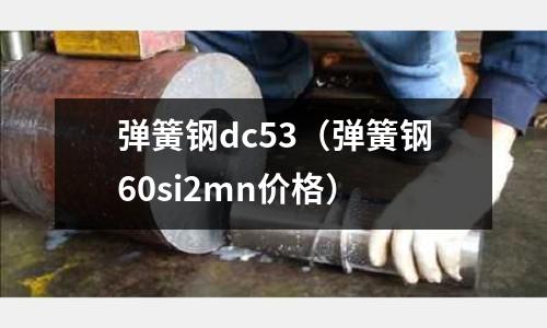 彈簧鋼dc53（彈簧鋼60si2mn價(jià)格）