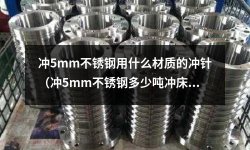 沖5mm不銹鋼用什么材質的沖針（沖5mm不銹鋼多少噸沖床）