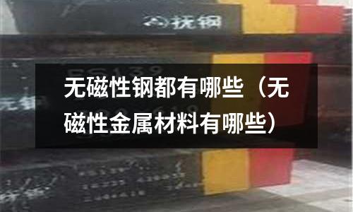 無磁性鋼都有哪些（無磁性金屬材料有哪些）