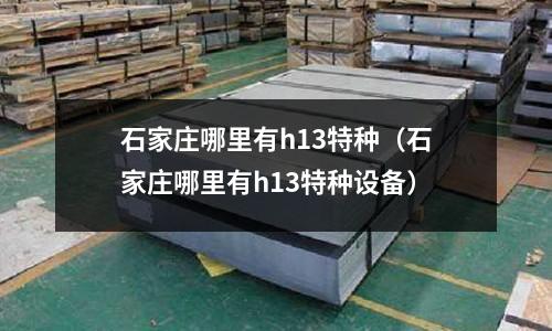 石家莊哪里有h13特種(石家莊哪里有h13特種設備)