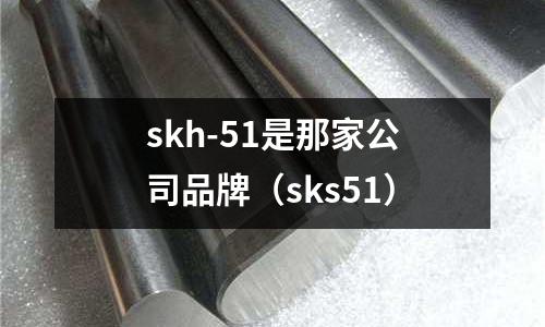 skh-51是那家公司品牌(sks51)