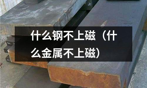 什么鋼不上磁（什么金屬不上磁）