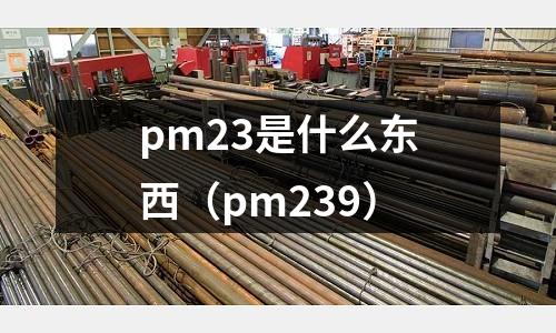 pm23是什么東西(pm239)