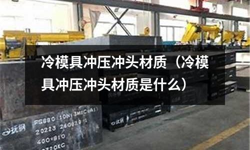 冷模具沖壓沖頭材質(zhì)（冷模具沖壓沖頭材質(zhì)是什么）