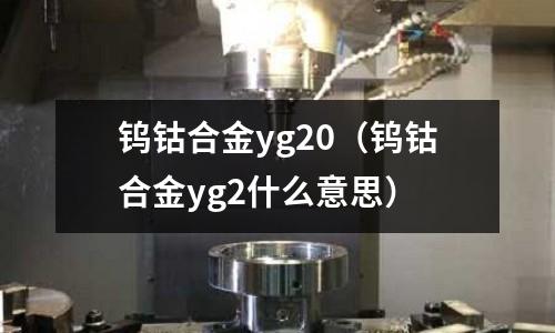 鎢鈷合金yg20（鎢鈷合金yg2什么意思）