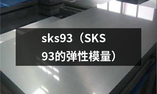 sks93（SKS93的彈性模量）