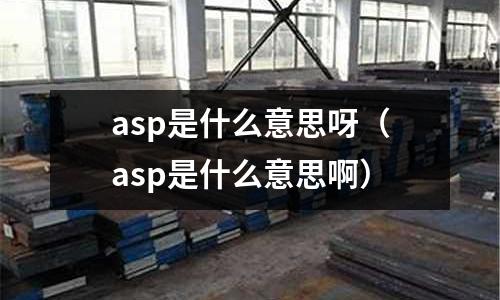 asp是什么意思呀（asp是什么意思啊）