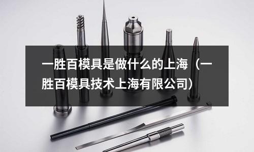 一勝百模具是做什么的上海（一勝百模具技術上海有限公司）