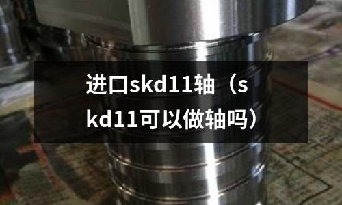 進口skd11軸（skd11可以做軸嗎）