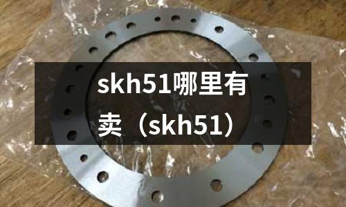 skh51哪里有賣（skh51）