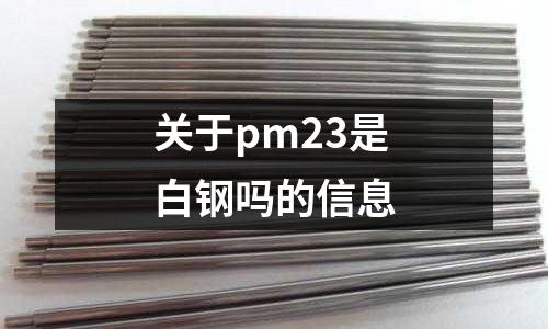 關(guān)于pm23是白鋼嗎的信息
