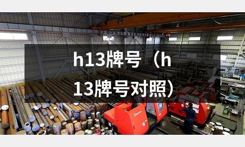 h13牌號（h13牌號對照）