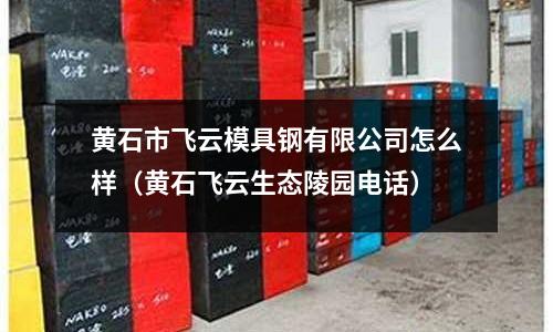 黃石市飛云模具鋼有限公司怎么樣（黃石飛云生態陵園電話）