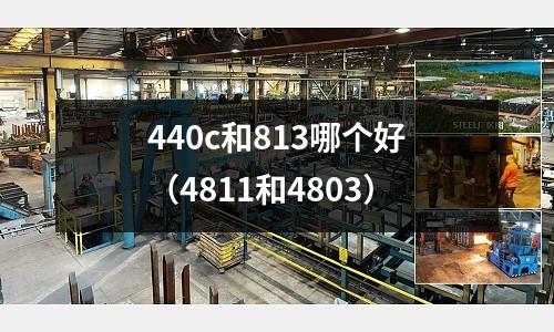 440c和813哪個好(4811和4803)