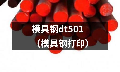 模具鋼dt501（模具鋼打印）