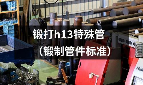 鍛打h13特殊管(鍛制管件標準)