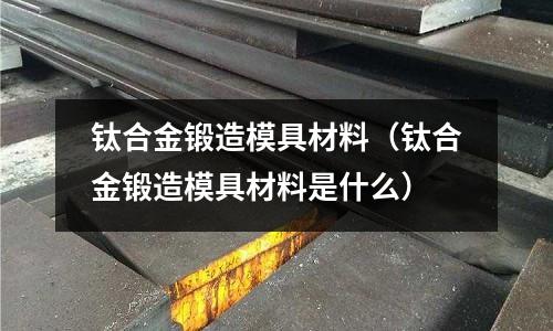 鈦合金鍛造模具材料（鈦合金鍛造模具材料是什么）