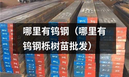 哪里有鎢鋼(哪里有鎢鋼櫟樹苗批發)