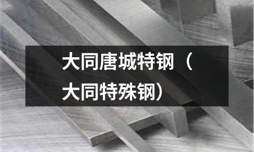 大同唐城特鋼(大同特殊鋼)