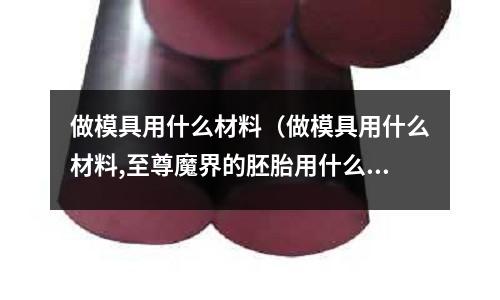 做模具用什么材料(做模具用什么材料,至尊魔界的胚胎用什么材料)