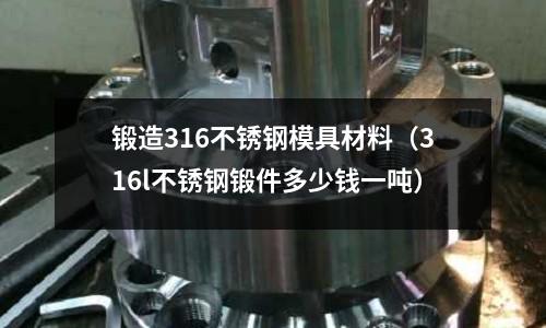 鍛造316不銹鋼模具材料（316l不銹鋼鍛件多少錢一噸）