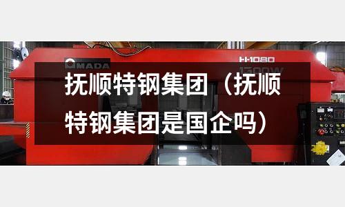 撫順特鋼集團(撫順特鋼集團是國企嗎)