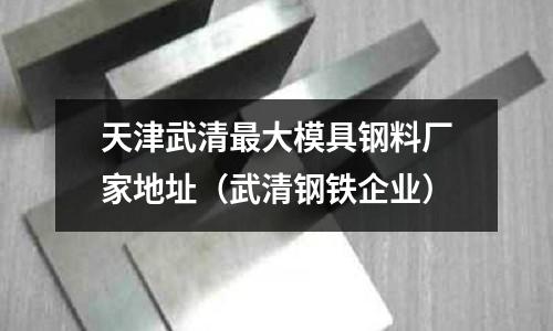 天津武清最大模具鋼料廠家地址（武清鋼鐵企業(yè)）