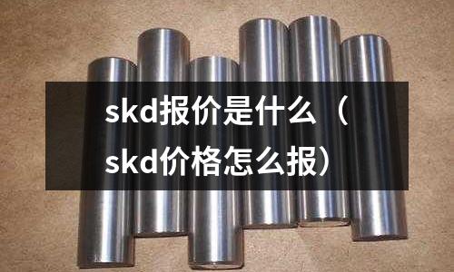 skd報(bào)價(jià)是什么(skd價(jià)格怎么報(bào))