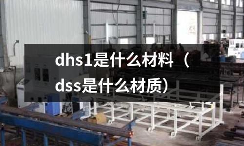 dhs1是什么材料(dss是什么材質(zhì))