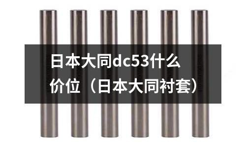 日本大同dc53什么價位(日本大同襯套)