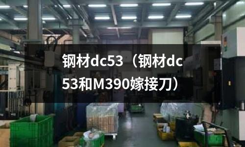 鋼材dc53(鋼材dc53和M390嫁接刀)
