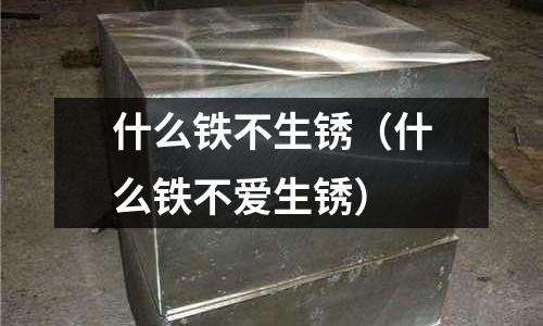 什么鐵不生銹(什么鐵不愛生銹)