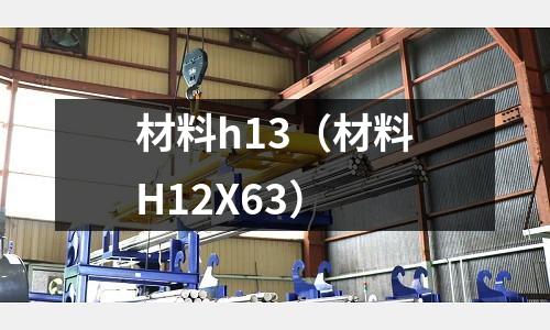 材料h13（材料H12X63）