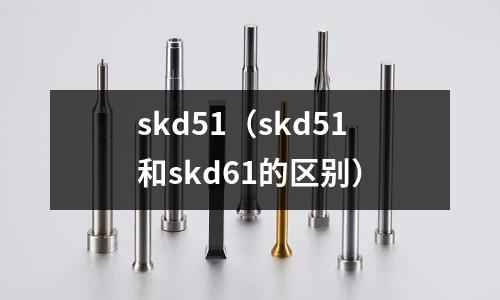 skd51(skd51和skd61的區別)