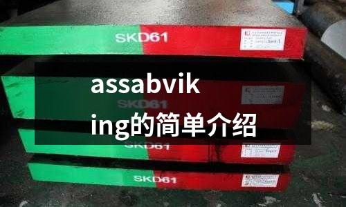 assabviking的簡單介紹
