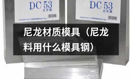 尼龍材質模具（尼龍料用什么模具鋼）