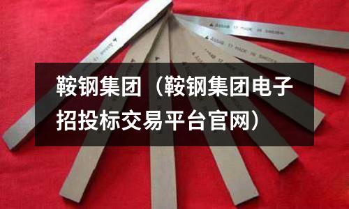鞍鋼集團（鞍鋼集團電子招投標交易平臺官網）